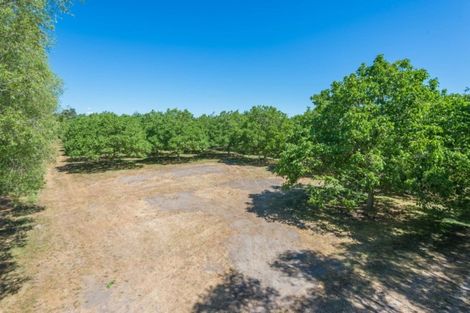 Photo of property in 138 Cullen Avenue, Swannanoa, 7475