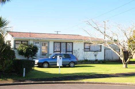 Photo of property in 17 Miami Street, Mangere East, Auckland, 2024