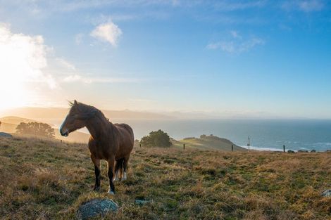 Photo of property in 378 Heyward Point Road, Heyward Point, Port Chalmers, 9081