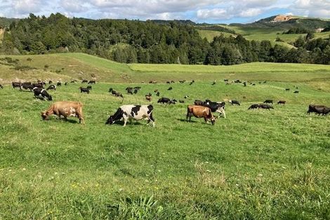 Photo of property in 755 Limeworks Loop Road, Karamu, Hamilton, 3285