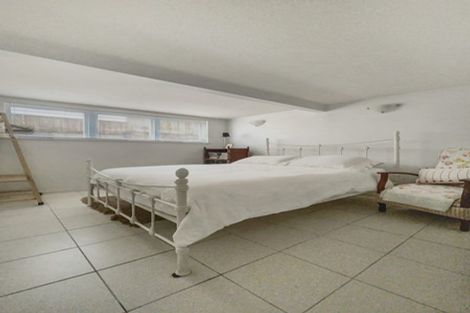 Photo of property in 123 Crummer Road, Grey Lynn, Auckland, 1021