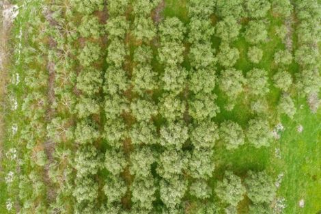 Photo of property in 7 Harding Road, Wellsford, 0972