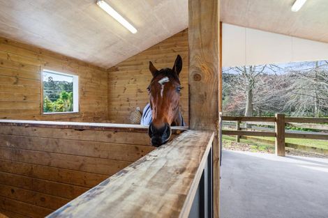 Photo of property in 96 Mahoenui Valley Road, Coatesville, Albany, 0793