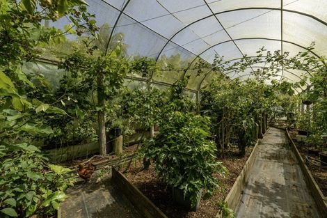 Photo of property in 480b Youngson Road, Whakamarama, 3179