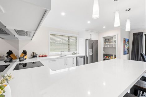 Photo of property in 12 Middleton Way, Ashhurst, 4810