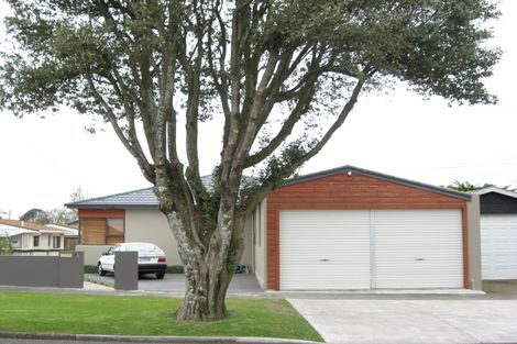 Photo of property in 25 Record Street, Fitzroy, New Plymouth, 4312