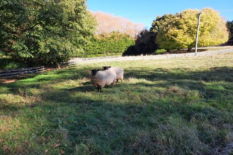 Photo of property in 297 Homestead Road, Weston, Oamaru, 9491