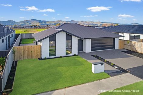 Photo of property in 61 Cork Street, Halswell, Christchurch, 8025