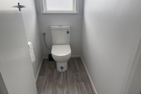 Photo of property in 613 Queen Street East, Levin, 5510