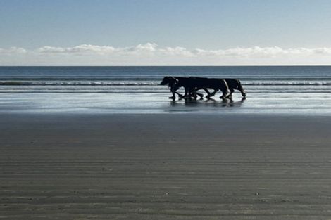 Photo of property in 2/445 Hibiscus Coast Highway, Orewa, 0931