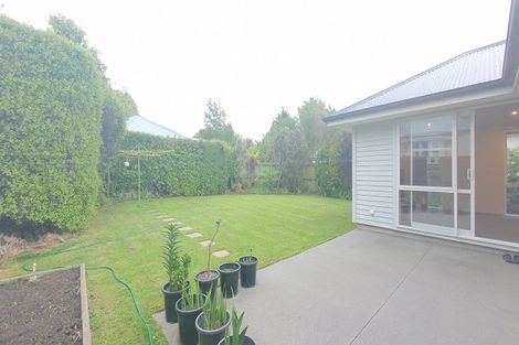 Photo of property in 1/133 Rose Street, Somerfield, Christchurch, 8024