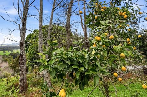Photo of property in 497a Tara Road, Mangawhai, 0573