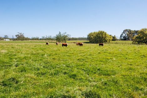 Photo of property in 89 Ulysses Road, Ashhurst, Palmerston North, 4470