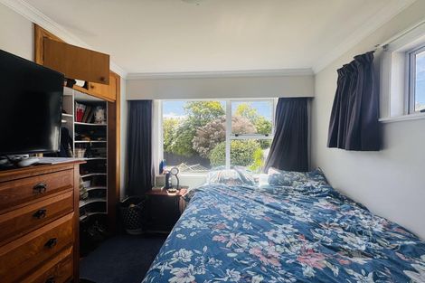 Photo of property in 60 Newcastle Street, Hokowhitu, Palmerston North, 4410