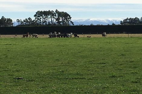 Photo of property in 3/1101 Greendale Road, Darfield, 7571