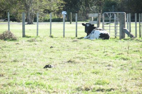 Photo of property in 144/140 Mclean Street, Wairoa, 4108