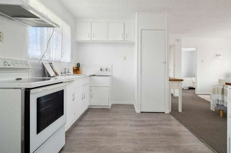 Photo of property in 133 Malfroy Road, Victoria, Rotorua, 3010