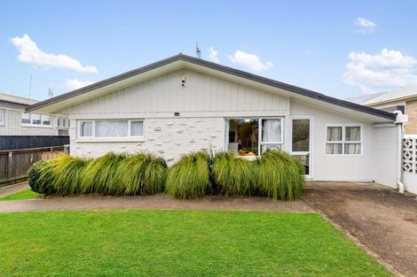 Photo of property in 7 Moloney Terrace, Pukekohe, 2120