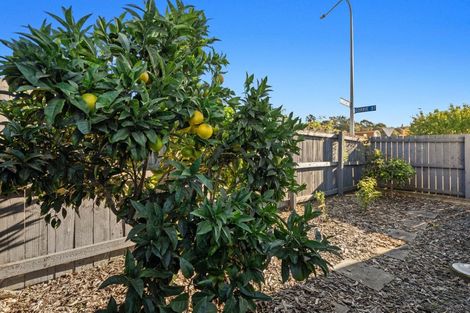 Photo of property in 9 Gorrie Street, Nelson South, Nelson, 7010