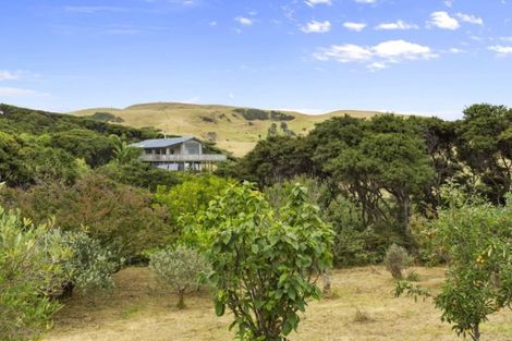 Photo of property in 1574 Whaanga Road, Raglan, 3296