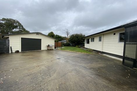 Photo of property in 20 Clyde Street, Renwick, 7204