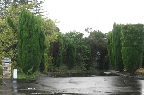 Photo of property in 22 Knox Road, Hillpark, Auckland, 2102