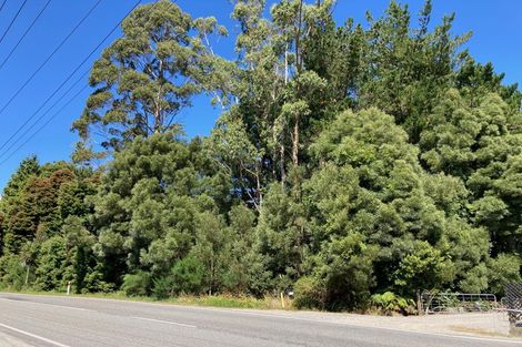 Photo of property in 332 Kaniere Road, Kaniere, Hokitika, 7811