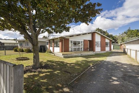 Photo of property in 103 Wyndham Street, Ashhurst, 4810