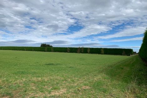 Photo of property in 48 Paddon Road, Branxholme, Invercargill, 9874