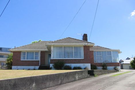Photo of property in 11 Paeroa Street, Newtown, Wellington, 6021