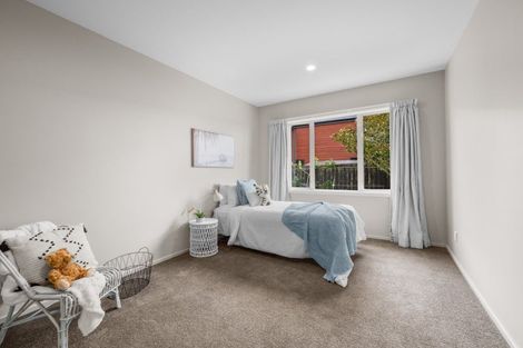 Photo of property in 19 Ludlow Drive, Huntingdon, Ashburton, 7774