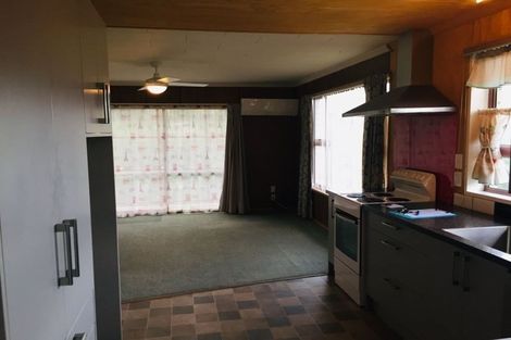 Photo of property in 3 Tweed Street, Roxburgh, 9500