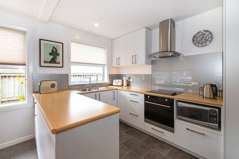 Photo of property in 141 Macandrew Road, South Dunedin, Dunedin, 9012