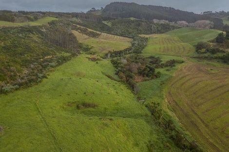 Photo of property in 89 Purangi Road, Purangi, Whitianga, 3591