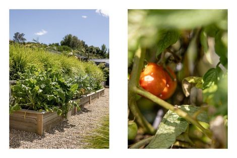 Photo of property in 10 Josephine Place, Omokoroa, 3114