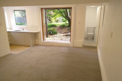 Photo of property in 67 First Avenue, Kingsland, Auckland, 1021