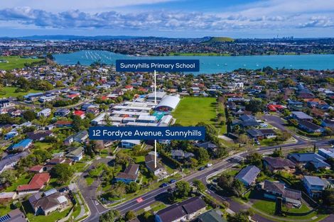 Photo of property in 12 Fordyce Avenue, Sunnyhills, Auckland, 2010