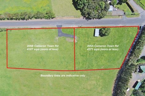 Photo of property in 205b Cameron Town Road, Pukekohe, 2678