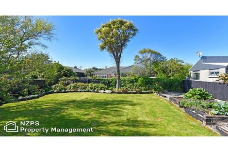 Photo of property in 24 Albert Street, Saint Clair, Dunedin, 9012