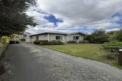 Photo of property in 20 Plunket Street, Spreydon, Christchurch, 8024
