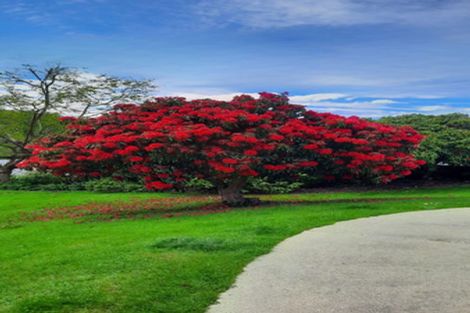 Photo of property in 20 Peel Street, Lawrence, 9532