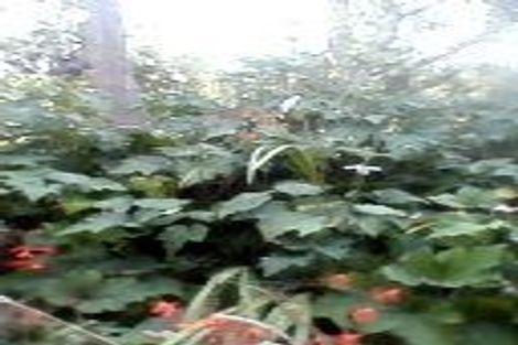 Photo of property in 6 Severn Street, Waitotara, Whanganui, 4588