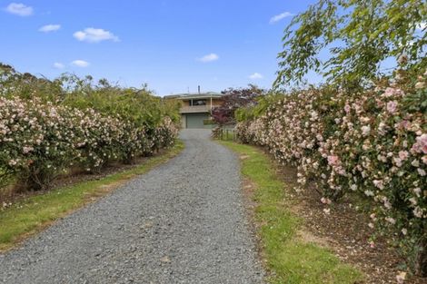 Photo of property in 131 Starkey Road, Morrinsville, 3371