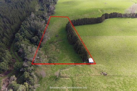 Photo of property in 160 Mcwatt Road, Waitakaruru, Ngatea, 2471