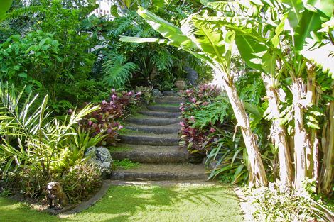 Photo of property in 234 Puketotara Road, Waipapa, Kerikeri, 0295