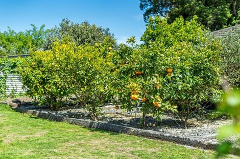 Photo of property in 8 Cruickshank Road, Clouston Park, Upper Hutt, 5018