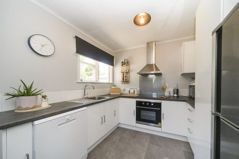 Photo of property in 196 Botanical Road, Takaro, Palmerston North, 4412