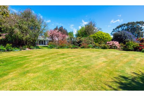 Photo of property in 56 Barrett Road, Seadown, Timaru, 7973