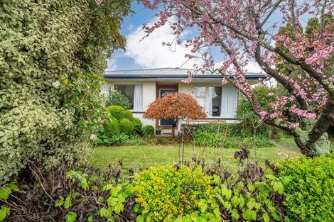 Photo of property in 177 Eden Street, Oamaru, 9400