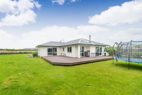 Photo of property in 12 Wapiti Avenue, Feilding, 4775